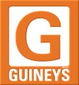 logo Michael Guineys Dublin